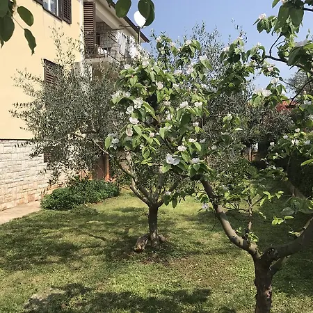 דירה Pierina *