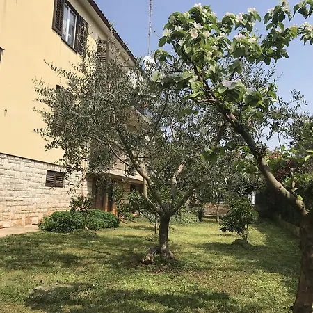 Pierina Novigrad Istria