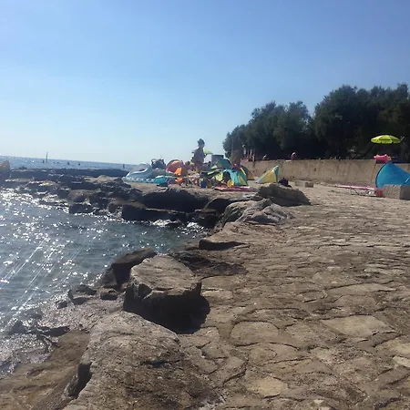 Pierina * Novigrad Istria